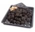 Napoleon Cast Iron Charcoal and Smoker Tray With Charcoal and Woodchips