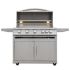 Blaze 40-Inch Gas Grill with Lights on Cart