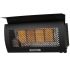Dimplex DGR32WNG Outdoor Wall Mounted Infrared Heater, Natural Gas