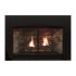 White Mountain Hearth DVC28IN Innsbrook Clean-Face Direct Vent Gas Fireplace Insert, 28-Inches