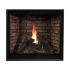 White Mountain Hearth DVCP32BP Tahoe Clean-Face Direct Vent Premium Gas Fireplace, 32-Inches