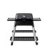 Everdure HBG2 Force Freestanding Gas Grill, 46.25-Inches