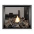 Napoleon HD81-1 High Definition Series Double Sided Electronic Ignition Direct Vent Gas Fireplace