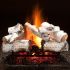 Hargrove Aspen Timbers Vented Gas Log Set with ANSI Certified System 4 Burner Kit, Propane Specialized (HGATSAA-S4B-ANSI)