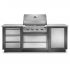 Napoleon Oasis 100 Outdoor Kitchen Bundle with BI32SS Grill