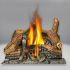 Napoleon GD82NT-PAESB Park Avenue Series Electronic Ignition Direct Vent Gas Fireplace Exclusive Phazer Logs