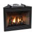 White Mountain Hearth DVP36FP Tahoe Direct Vent Premium Fireplace, 36-Inches