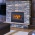 Superior Wood Burning Fireplace with Door and Facade (WCT4920WS)