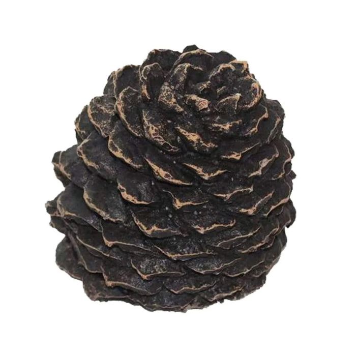 Hargrove Medium Decorative Pine Cone (HG1205BX)