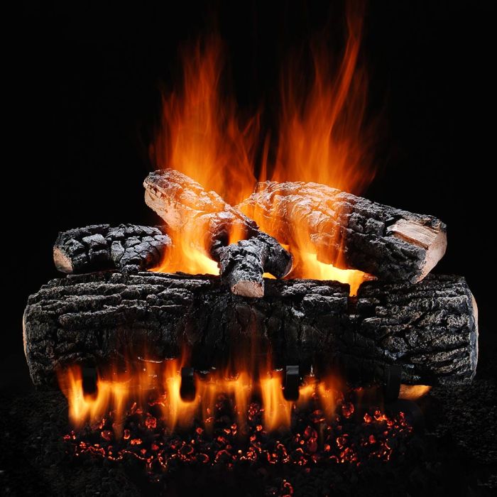 Hargrove Blazing Pecan Vented Gas Log Set with ANSI Certified System 4 Burner Kit, Propane Specialized (HGBPSAA-S4B-ANSI)