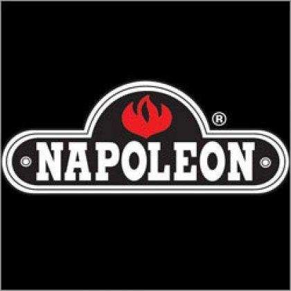 Napoleon W025-0001 Decorative Metallic Black Band for Direct Vent Pipe