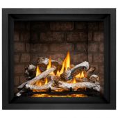 Napoleon EX42xTEL Elevation X Series Electronic Ignition 42-Inch Direct Vent Gas Fireplace