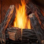 Outdoor Lifestyles Premium Log Set for Courtyard Outdoor Gas Fireplace