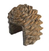 Real Fyre PCDC-1 Decorative Pine Cone Cover