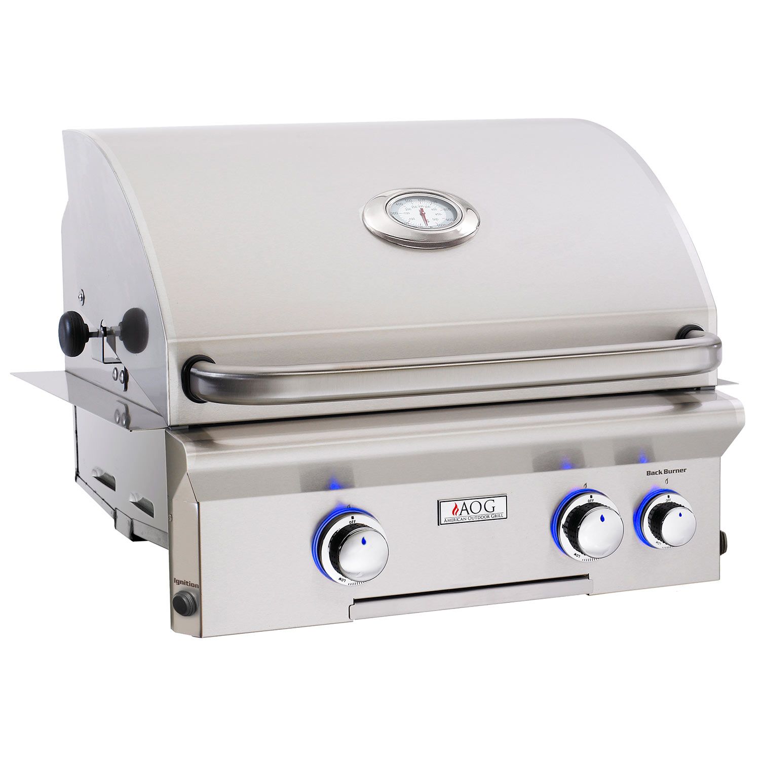 Danser Kyst Forbindelse American Outdoor Grill 24 Inch Built-In Gas Grill